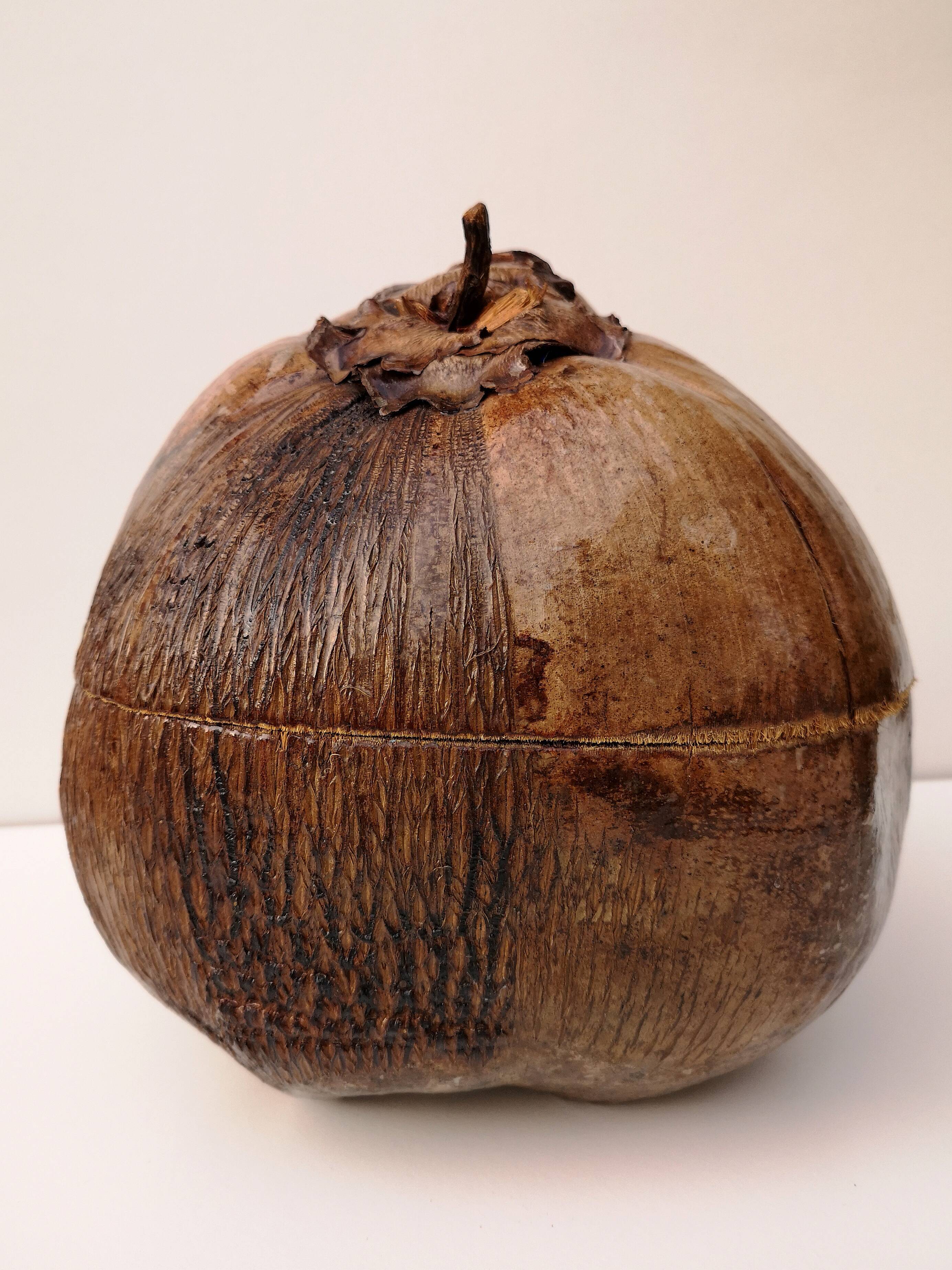 Empty vintage pocket - natural coconut