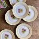 Set of 6 vintage dessert plates model Coopélia - L'Amandinoise