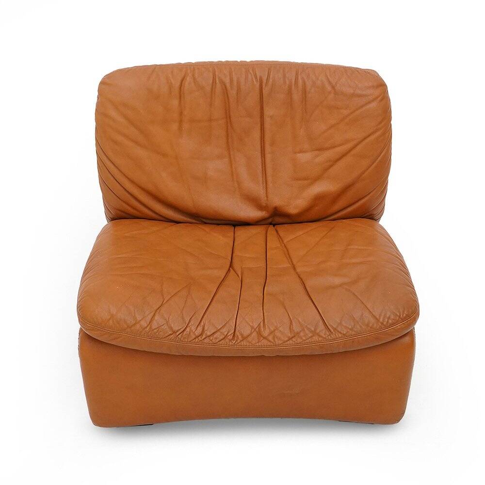 Leather armchair Selene by Adalberto Caraceni for B&T, 1970s