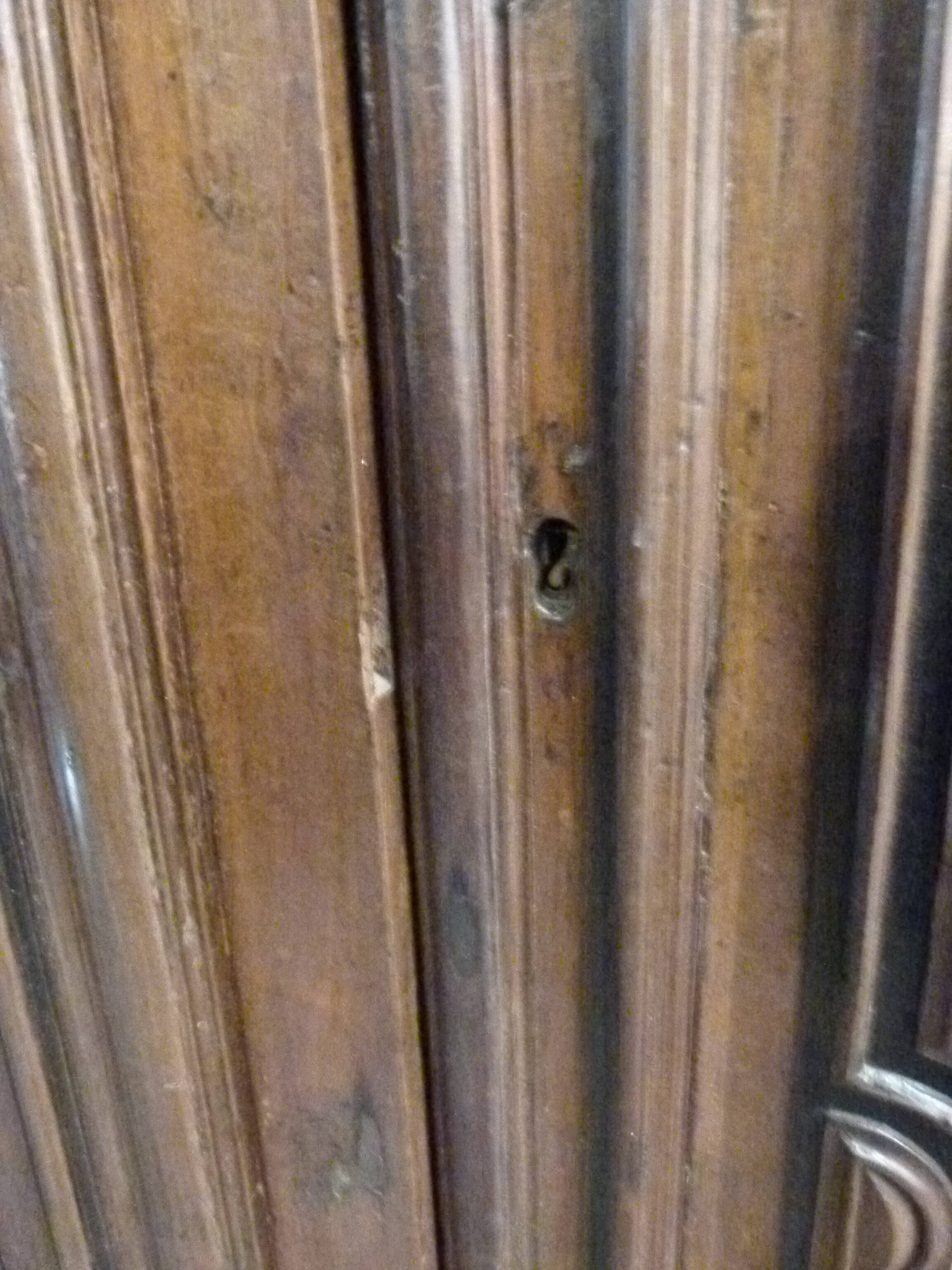 19th century walnut cabinet door