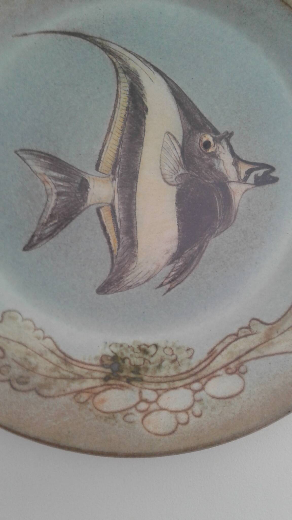 Ceramic plate