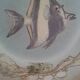 Ceramic plate