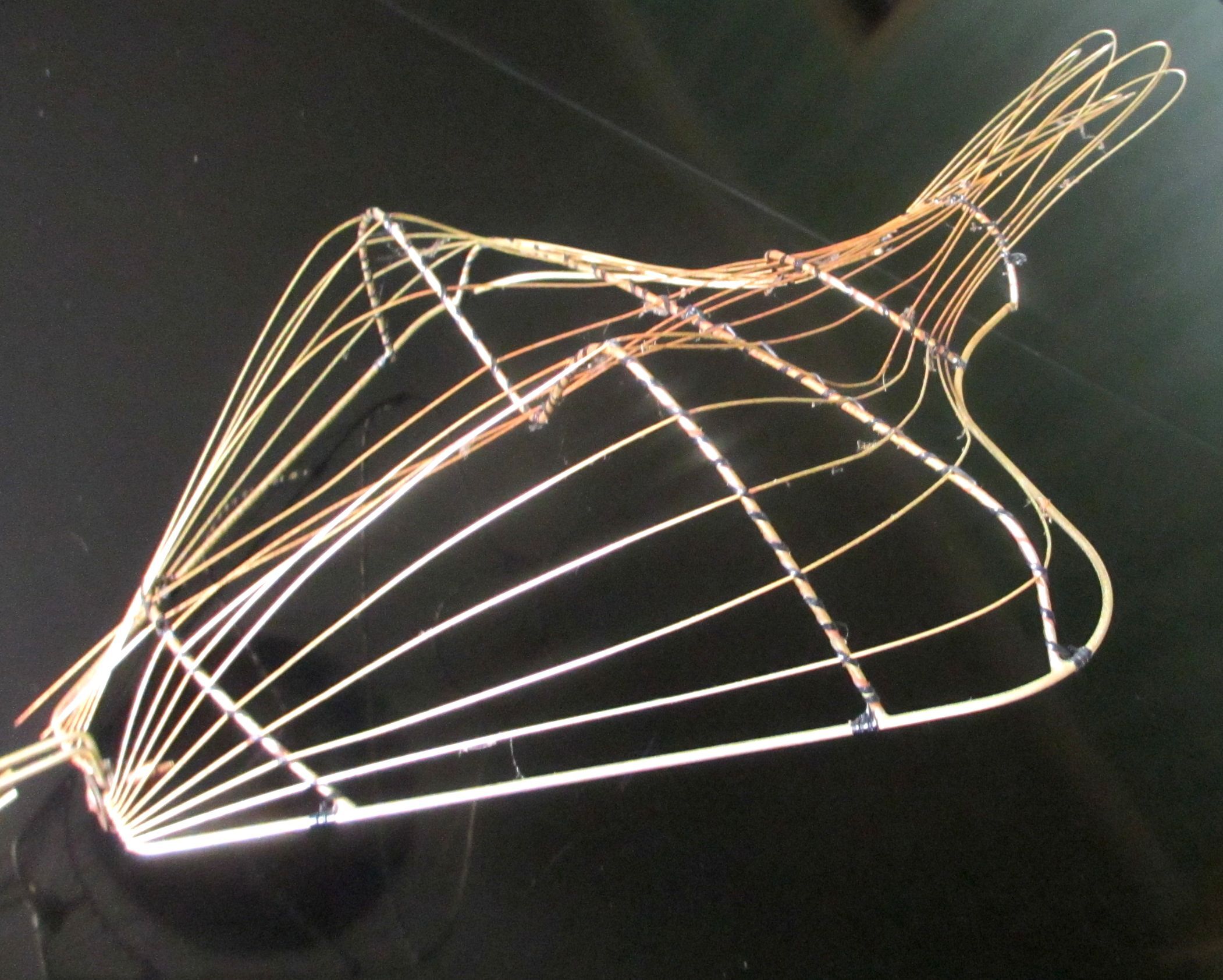 Display of lingerie model