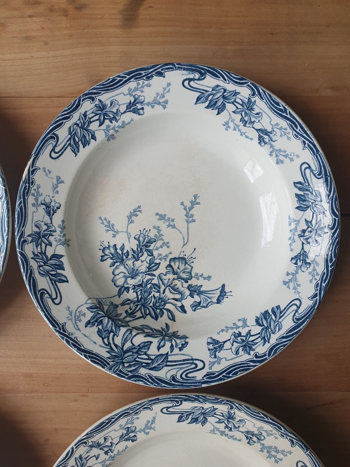 Hollow plates Longwy Azaleas