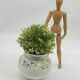 Cache pot / vase Villeroy & Boch, Éden, décor floral