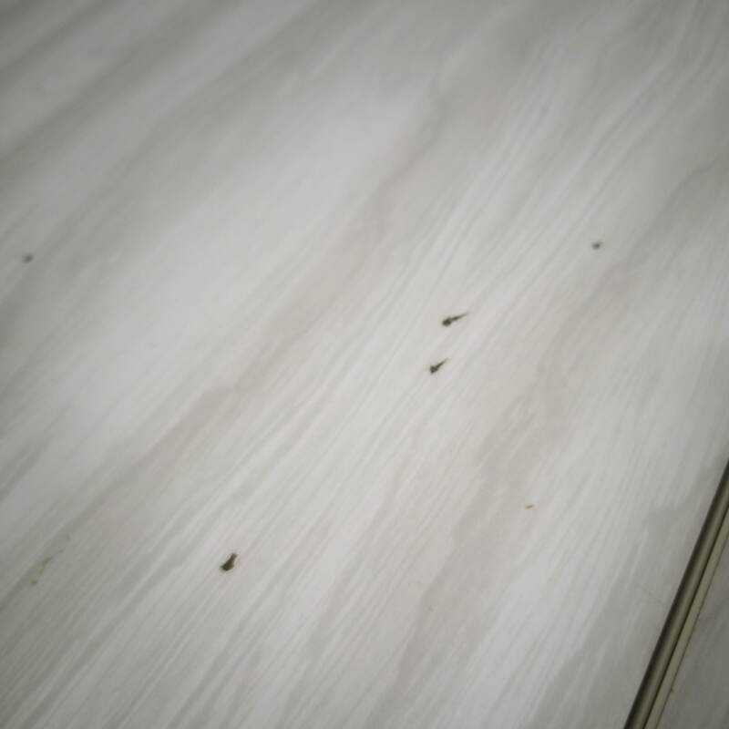 Folding table in Formica