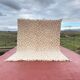 Authentic Beni Ouarain Rug 3.3x2.3M Unbleached Wool with Terracotta Patterns