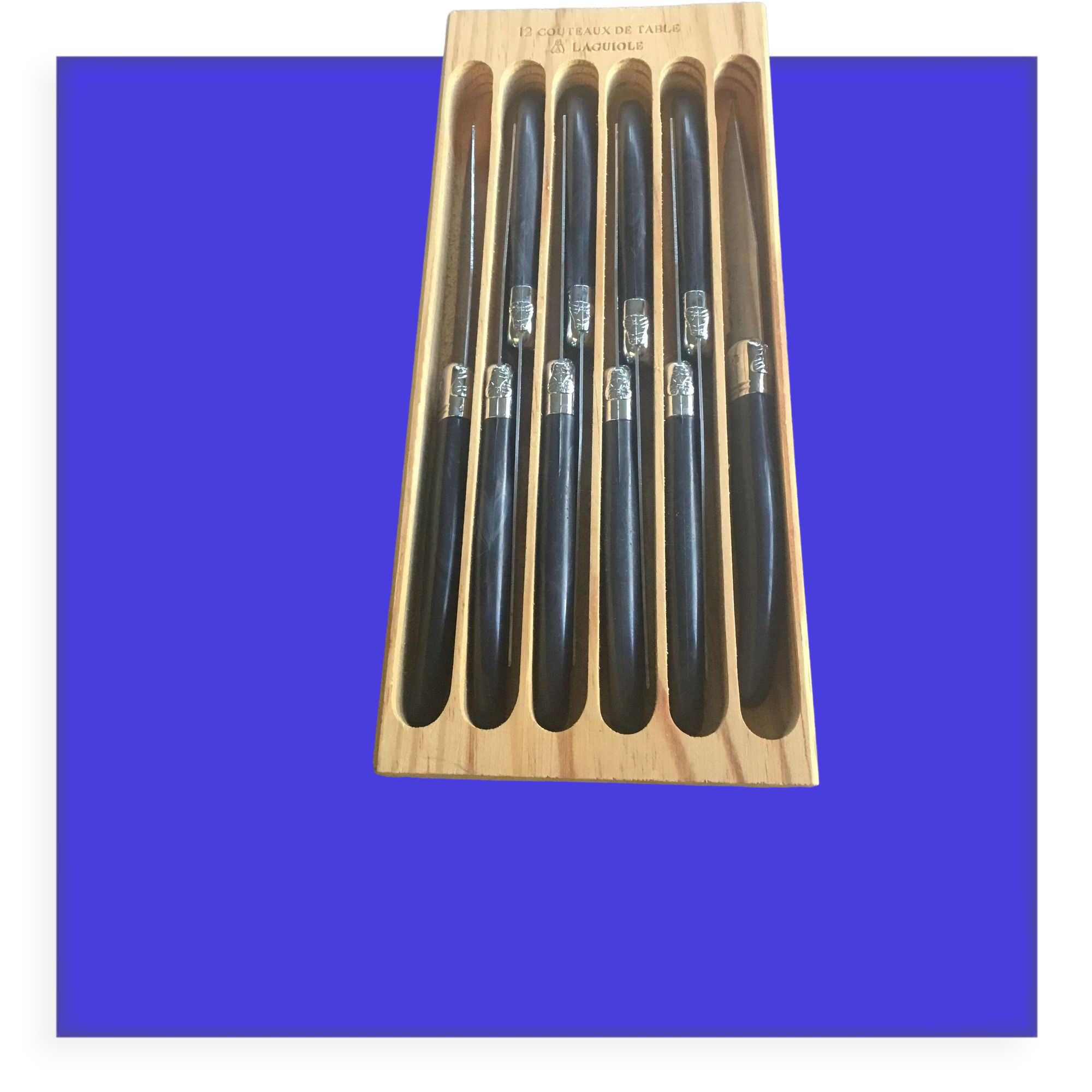 Set of 10 Laguiole Knives