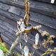 Italian Vintage patinated bronze chandelier with 4 lights with a beautiful wow patina