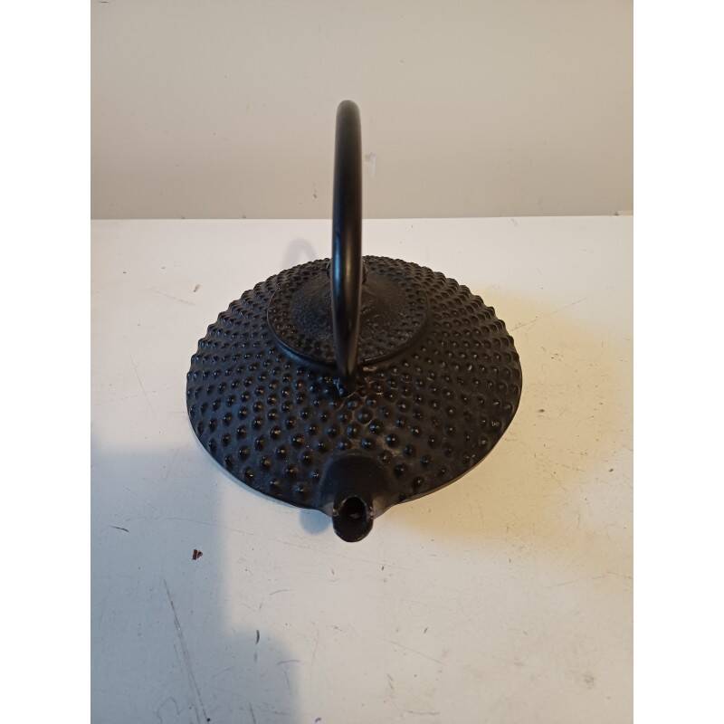 Cast iron Tetsu-Kyusu teapot