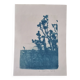 Cyanotype botanique photographique