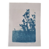Cyanotype botanique photographique