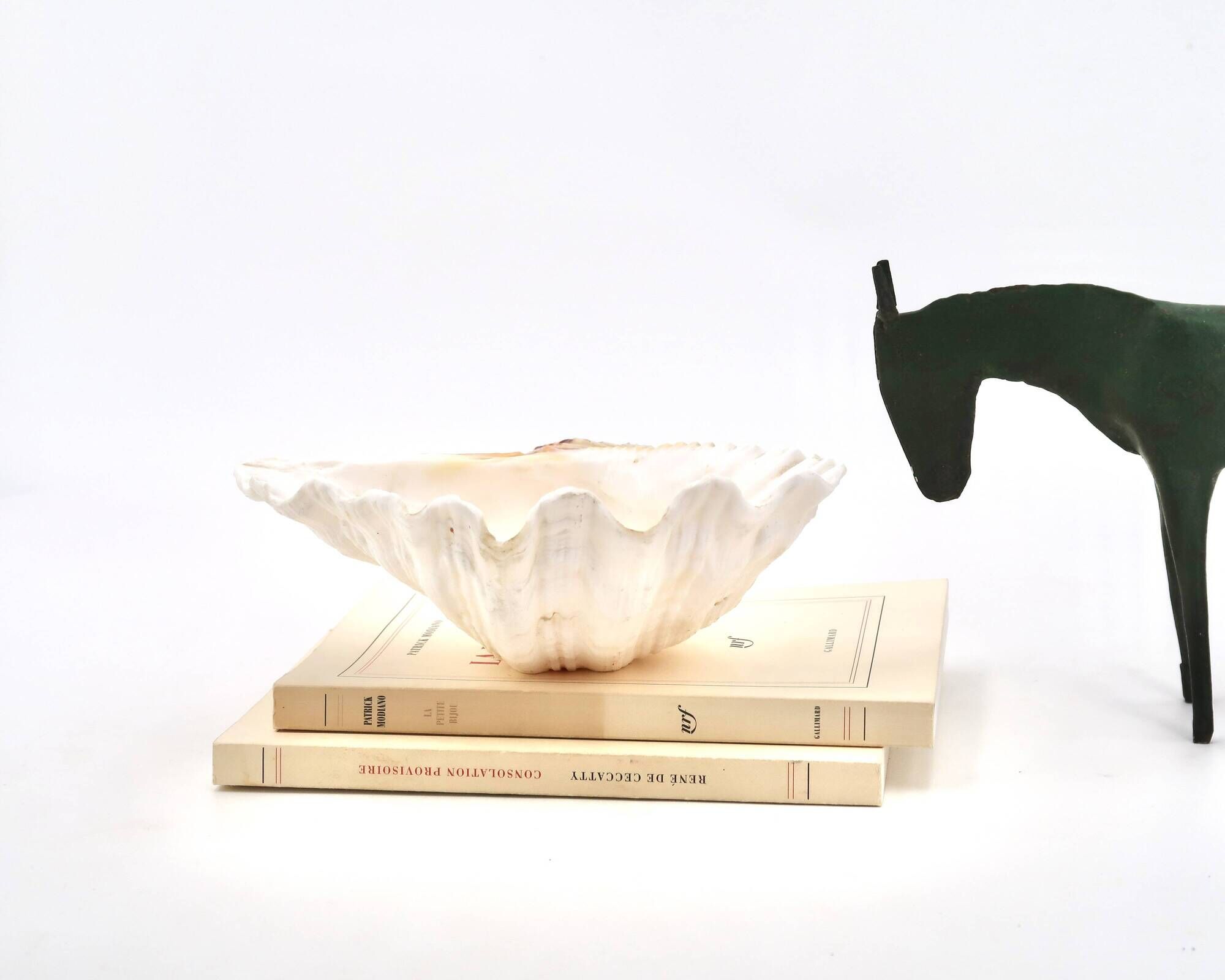 Natural white shell vide poche, vintage 1970s.