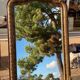 Baroque mirror 19th century gilded  84x156cm