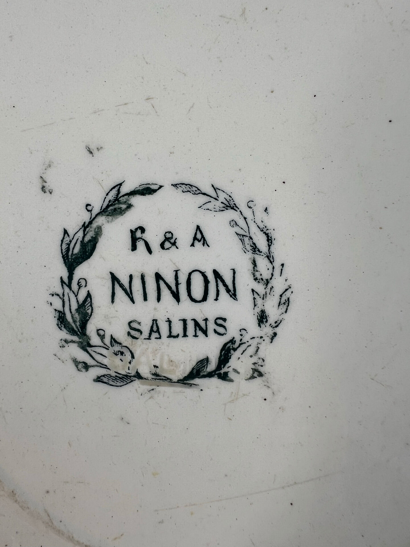 Set of 19 deep plates in ironstone Ninon 24cm