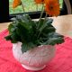 Pot cover slurry in glazed ceramic white vintage floral pattern