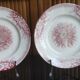 2 anciennes assiettes plates à fleurs rose poinçonner terre de fer hamage st amand "jardinière"