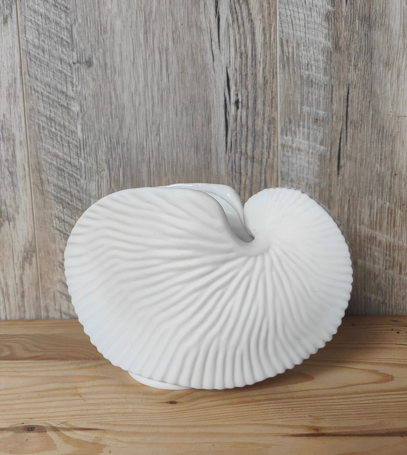Shell tea light holder