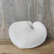 Shell tea light holder