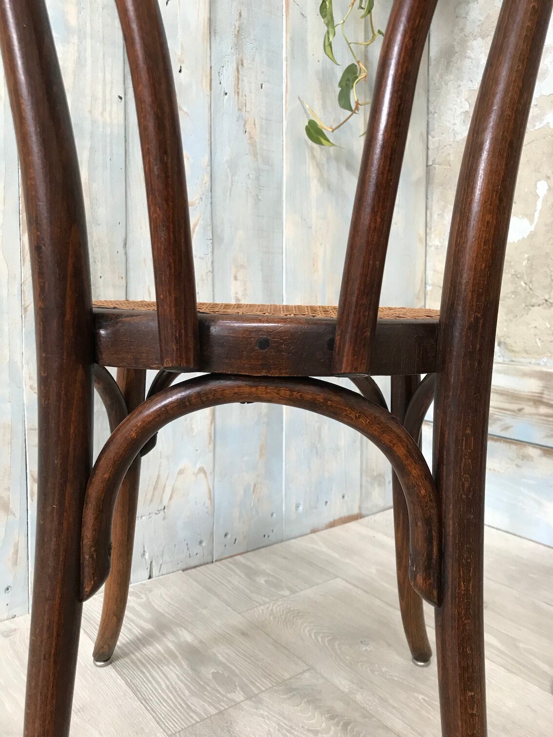Paire de chaises bistrot Fischel