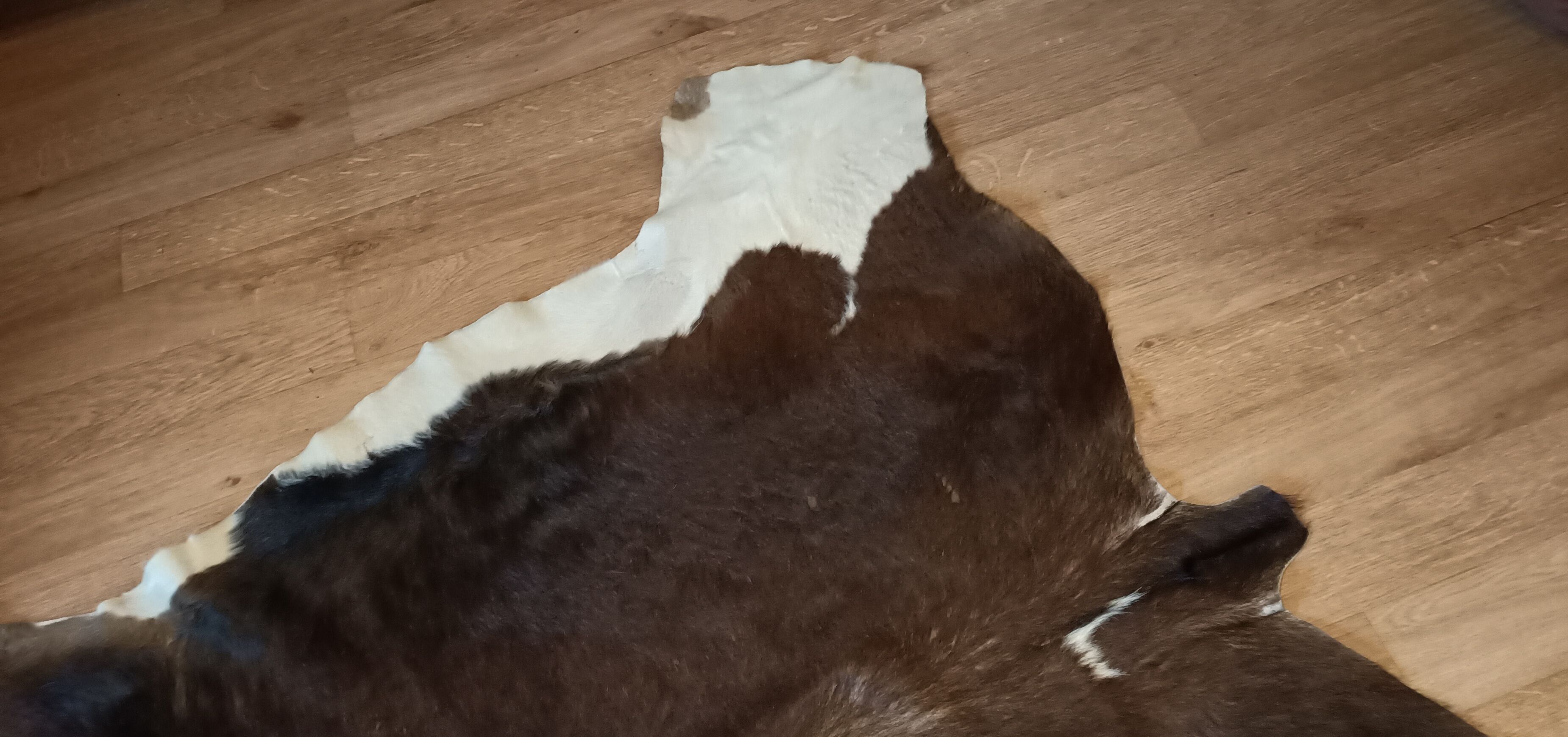 Vintage cow skin carpet, 140 cm x146 cm