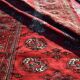 Tapis d'orient Boukhara Turkmène : 310 x 220 Cm