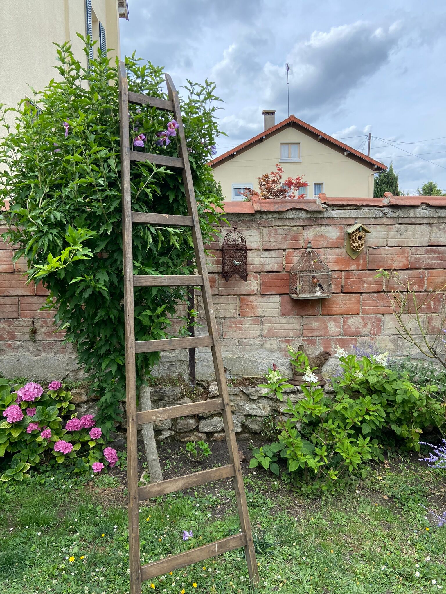 Old vintage painter's ladder