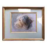 Painting pastel dog "Portrait of Cairn terrier" and frame
