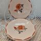 25 old Digoin and Sarreguemines plates