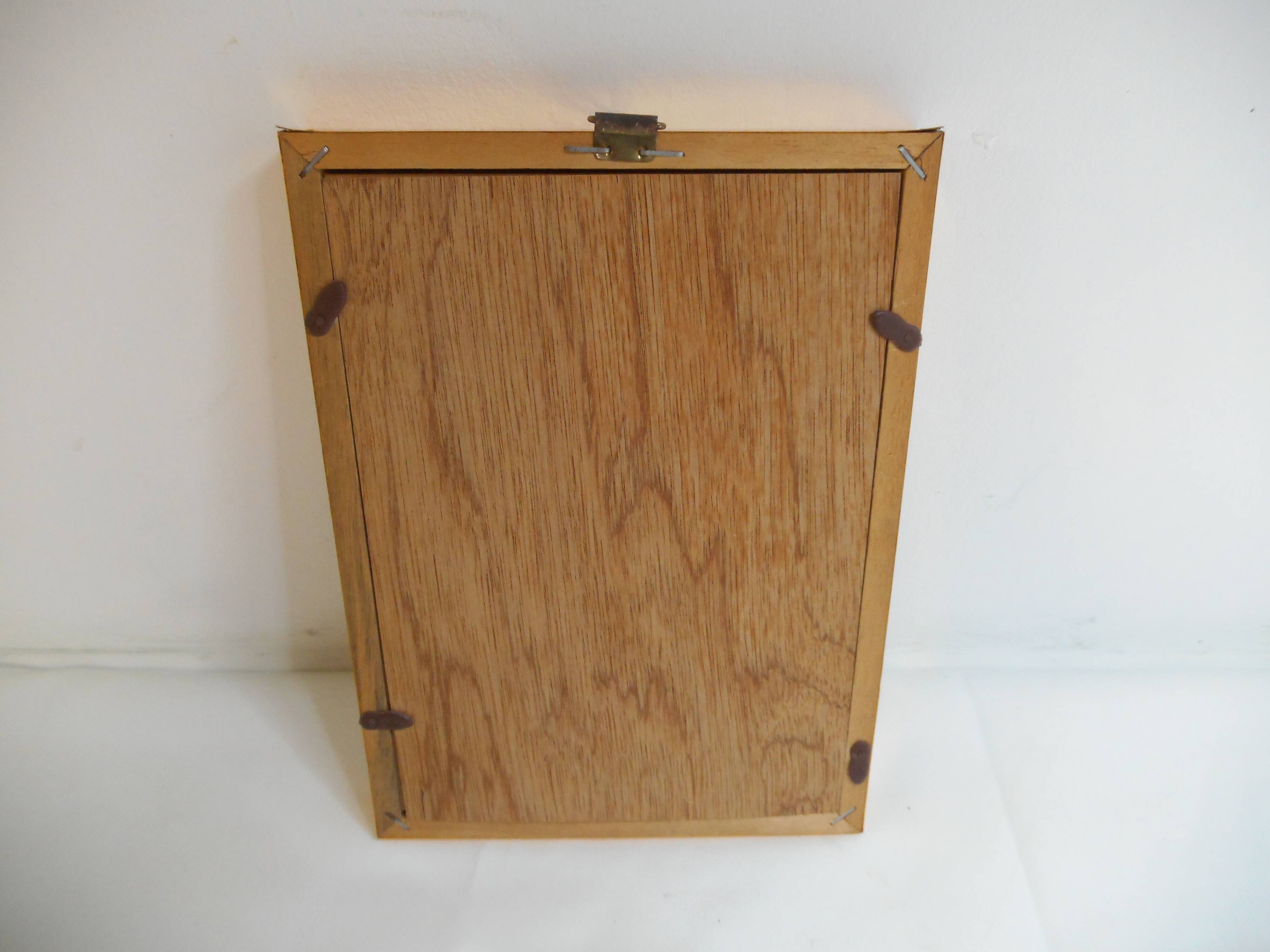 Butterflies naturalized under framework