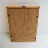 Butterflies naturalized under framework