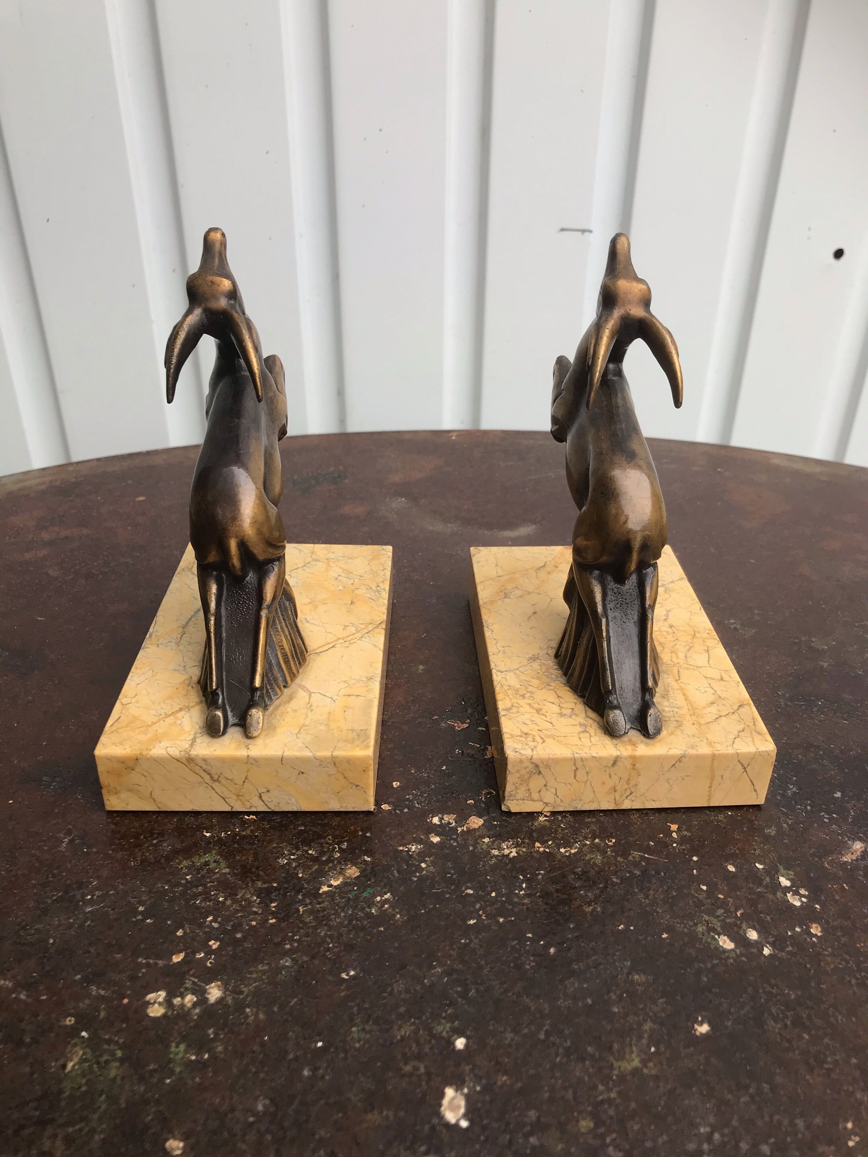 Greenhouse books antelopes