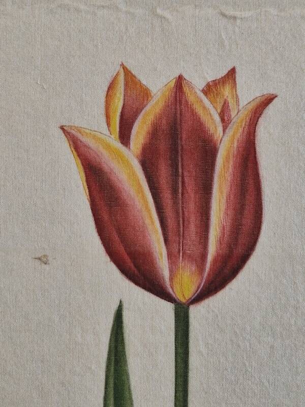 La Roche Laffitte (Born in 1943) - Watercolour drawing on silk - Tulip