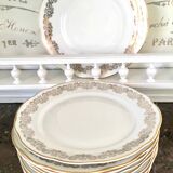 10 white and gold porcelain dinner plates
