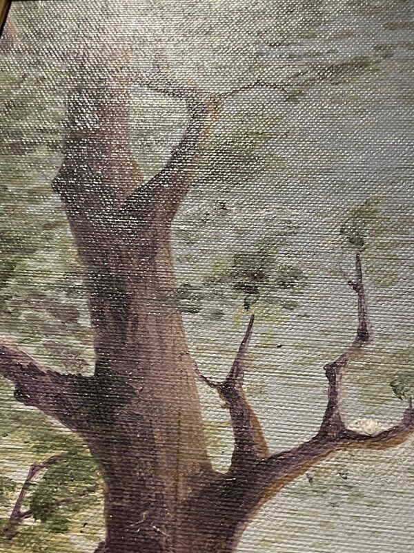 Duo paintings in oil on canvas