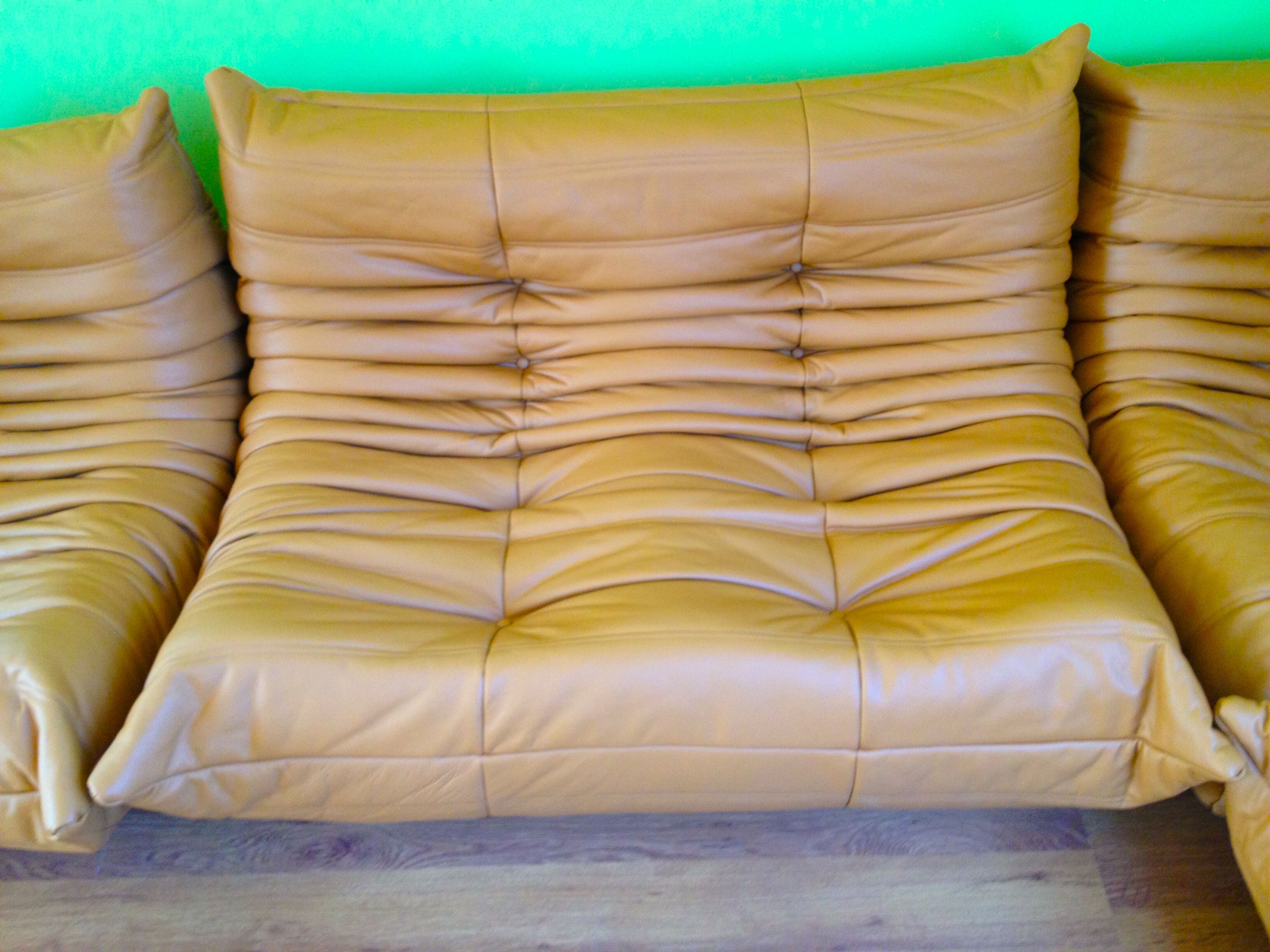 Togo sofa model designed by Michel Ducaroy 1973