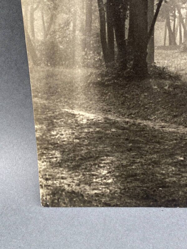 Photo argentique Bernard Darot Matin au Bois de Boulogne Club Nantais