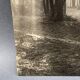 Photo argentique Bernard Darot Matin au Bois de Boulogne Club Nantais