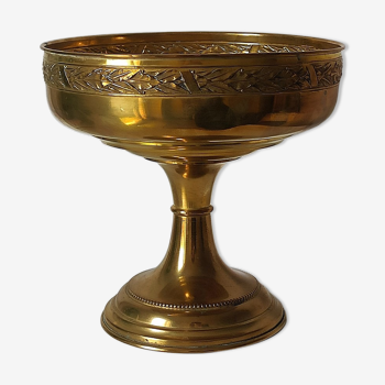 Fruit cup on golden brass piedouche