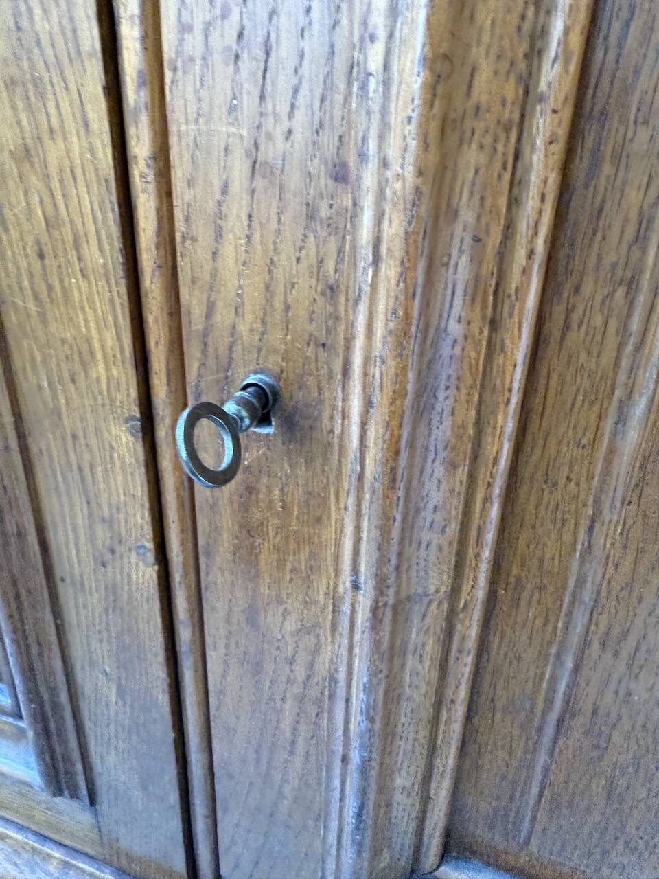 Antique XL Napoleonic oak glass bookcase, 19th century
