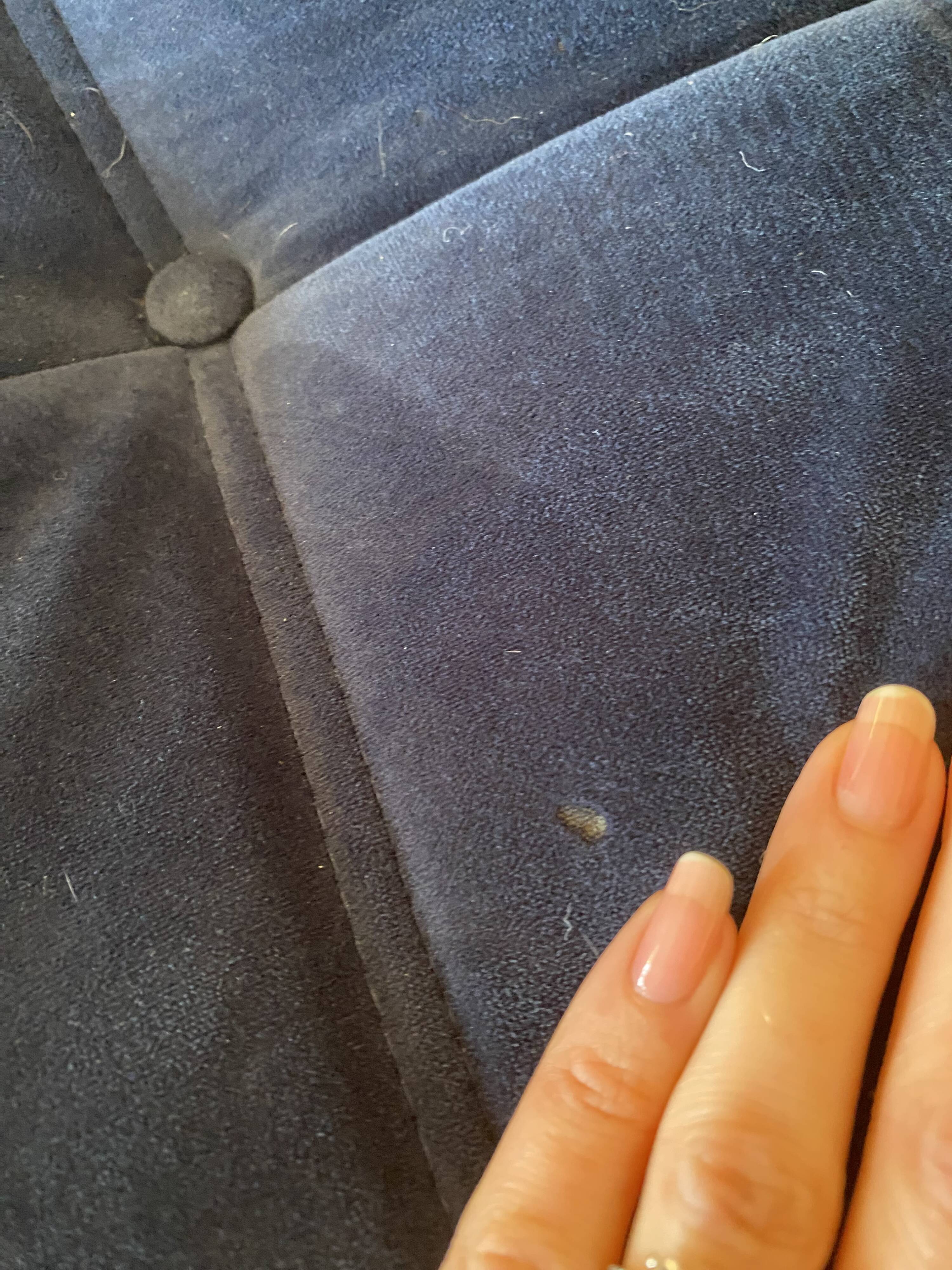 Togo 3-seater sofa in midnight blue velvet