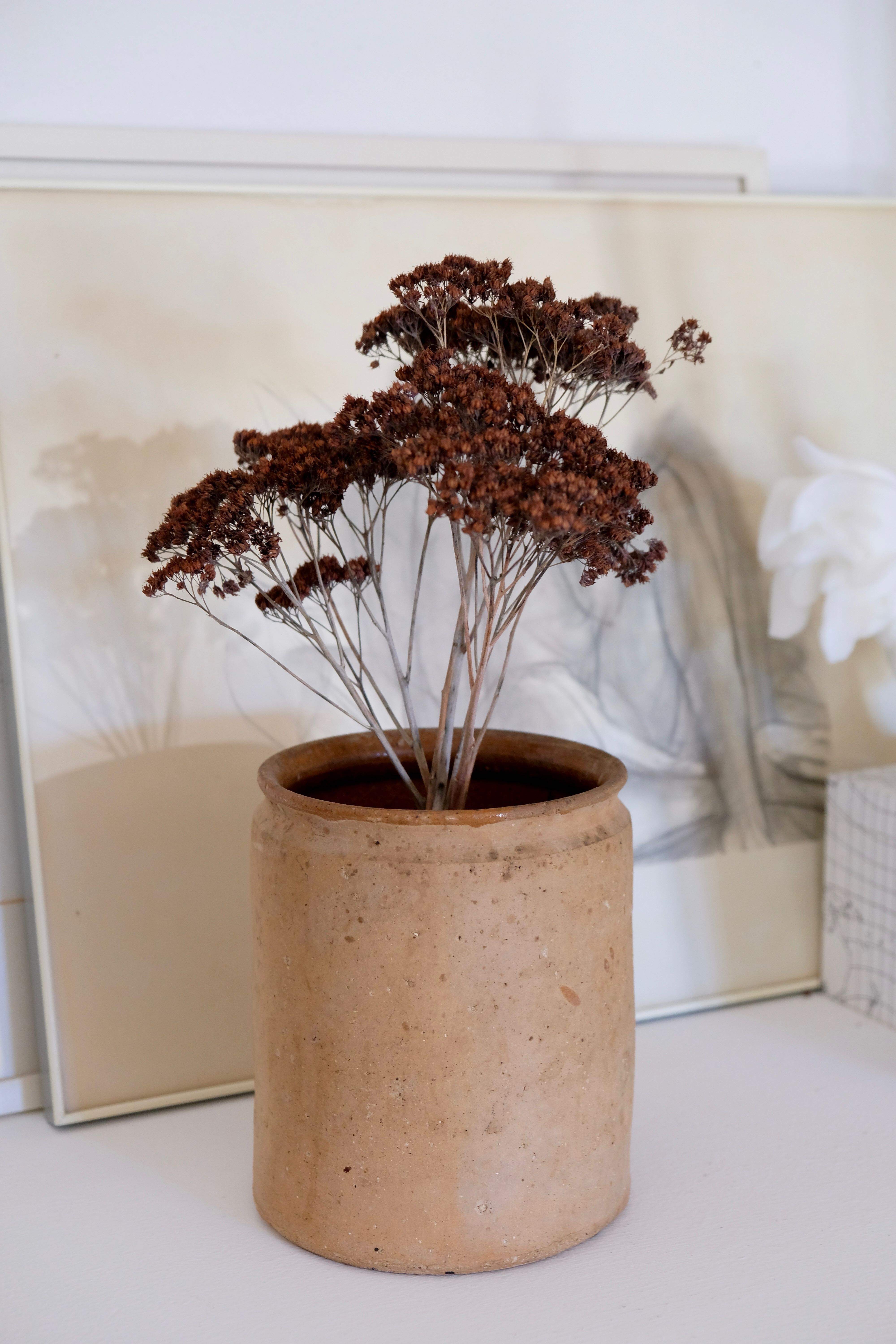 Old terracotta pot Provence XIX th