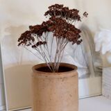 Old terracotta pot Provence XIX th