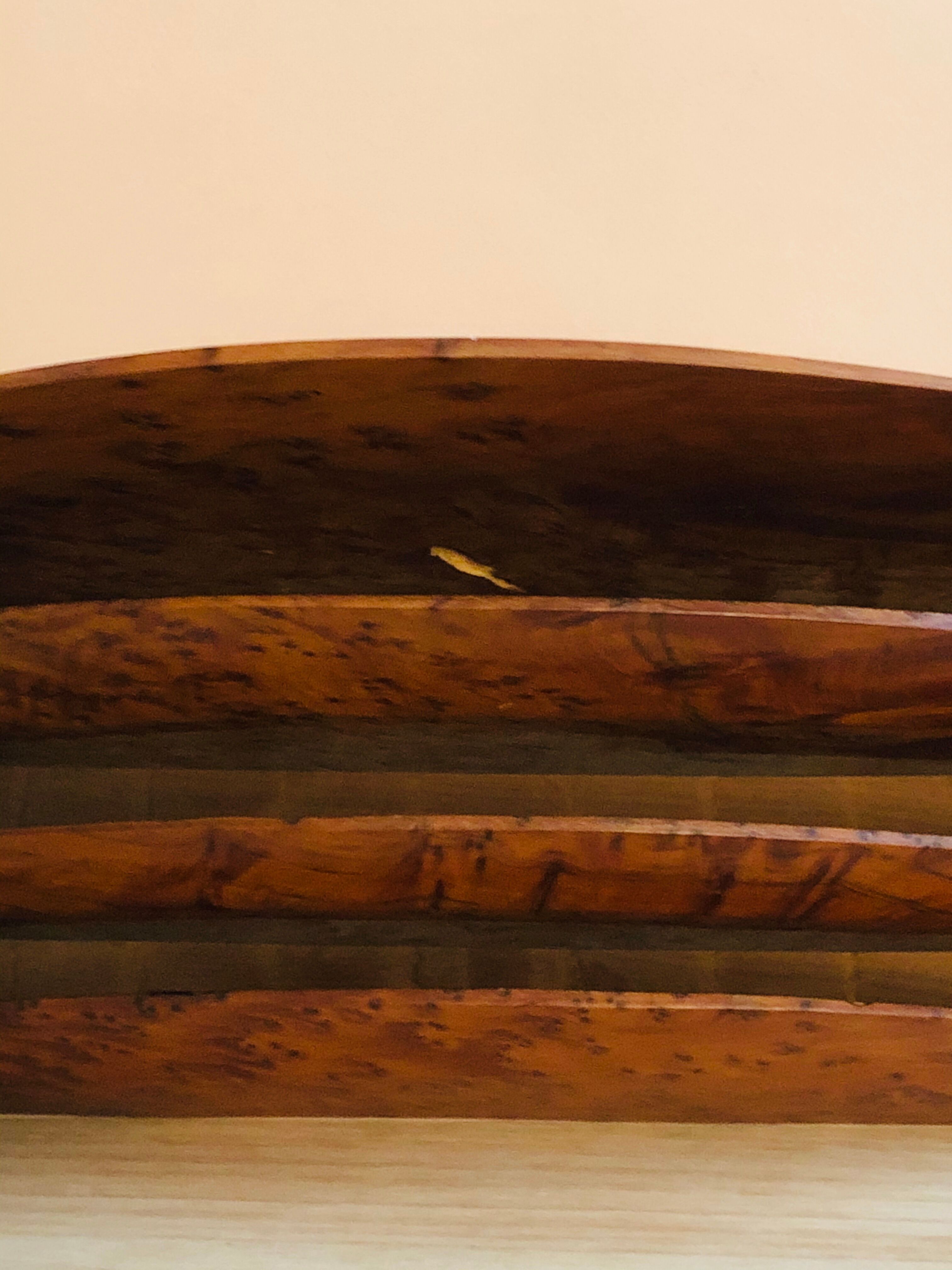 Elm magnifying glass letter carrier