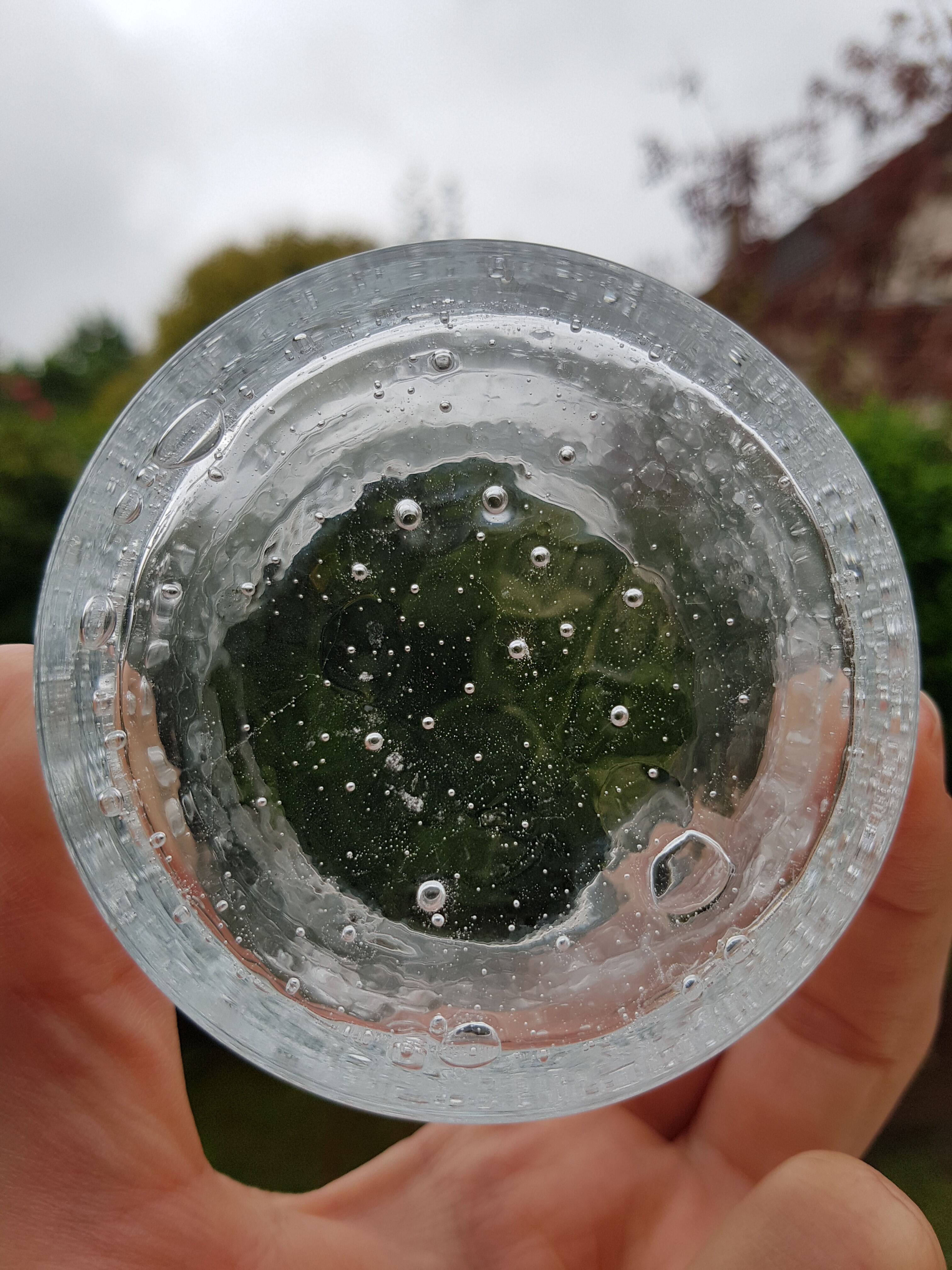 8 glasses of Sangria from Biot 1980s