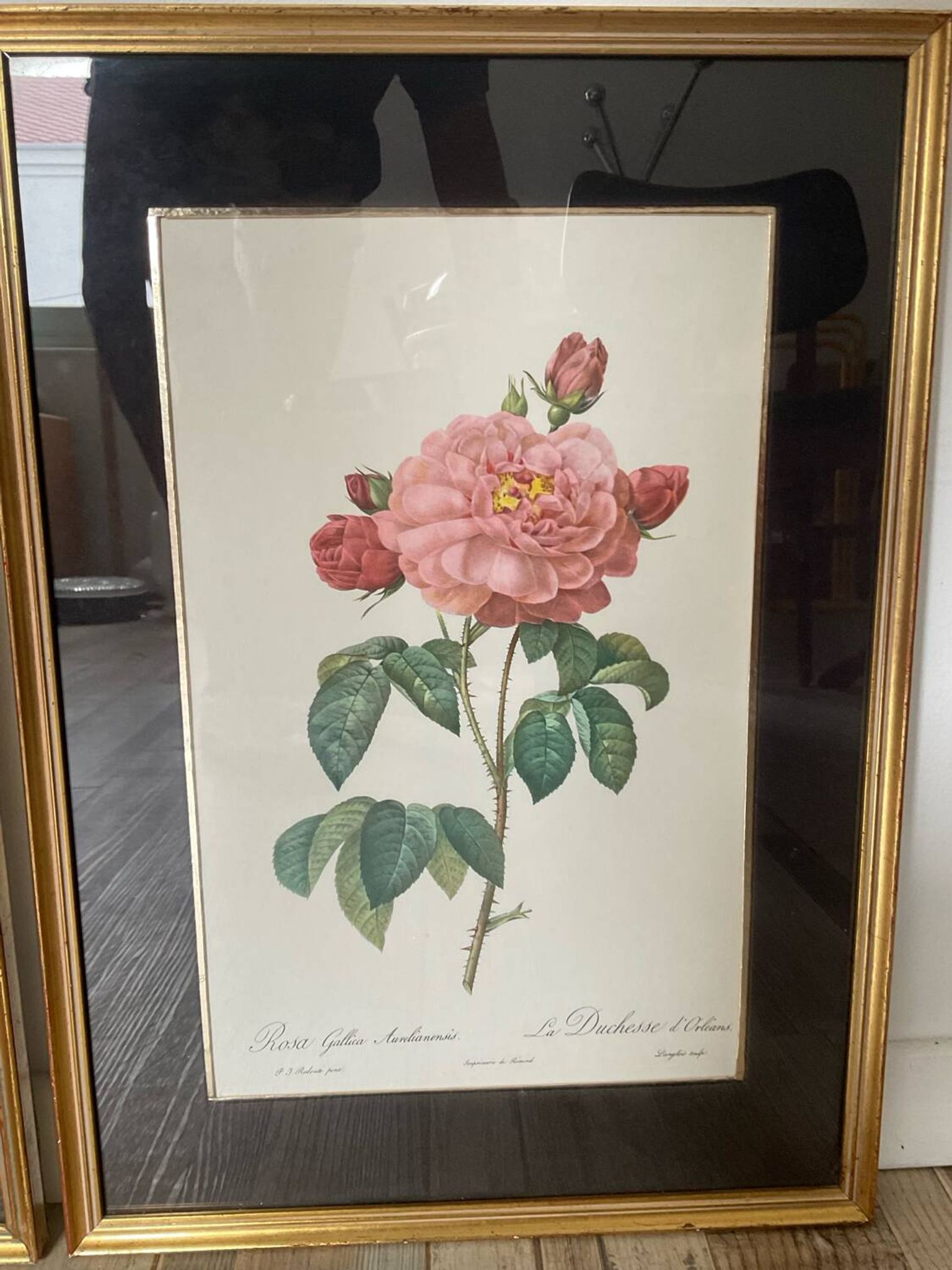 Pair of gilded wooden botanical frames from the 70s