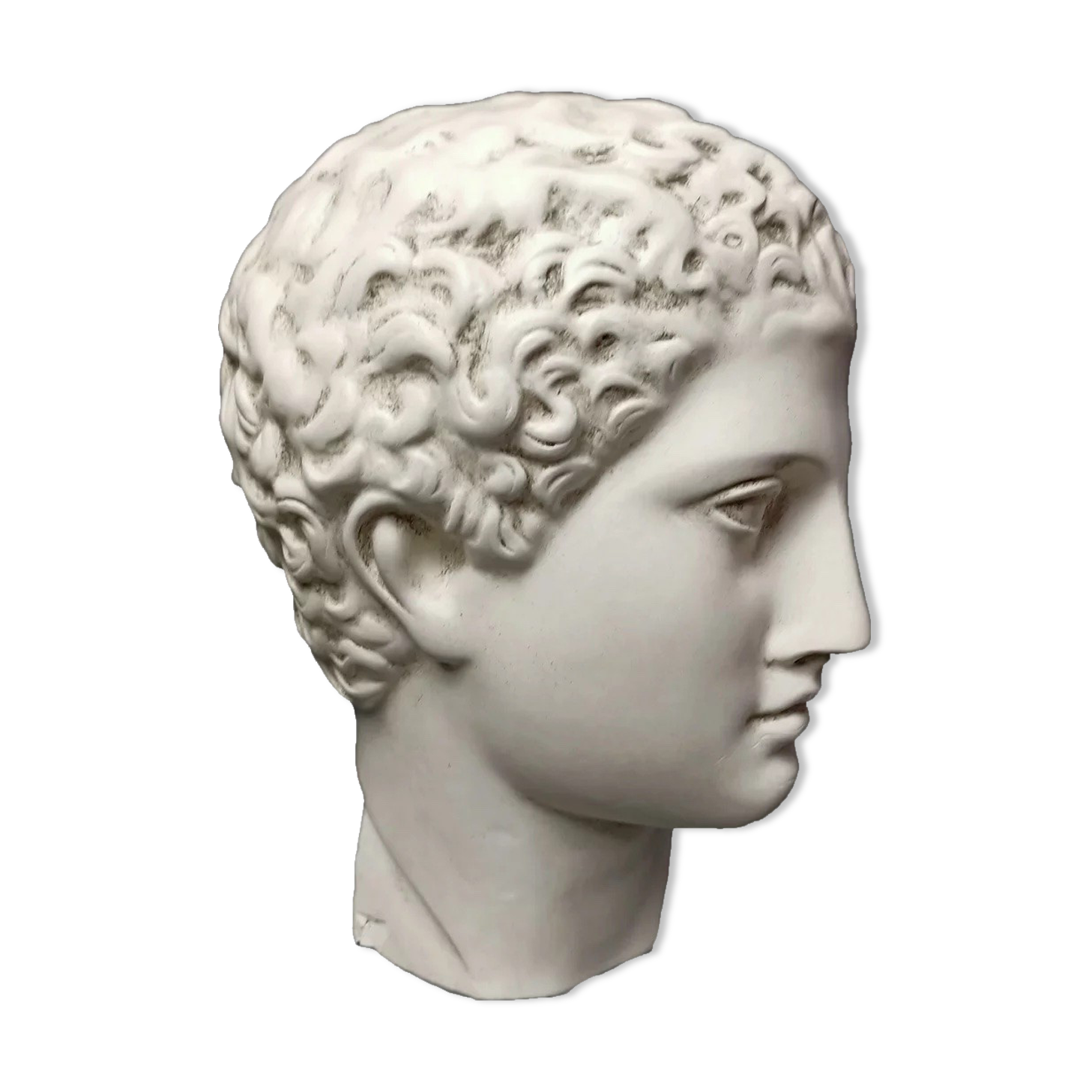 Antinous plaster head, British Museum