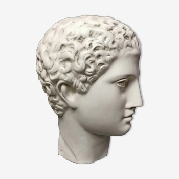 Antinous plaster head, British Museum
