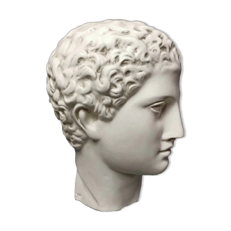 Antinous plaster head, British Museum