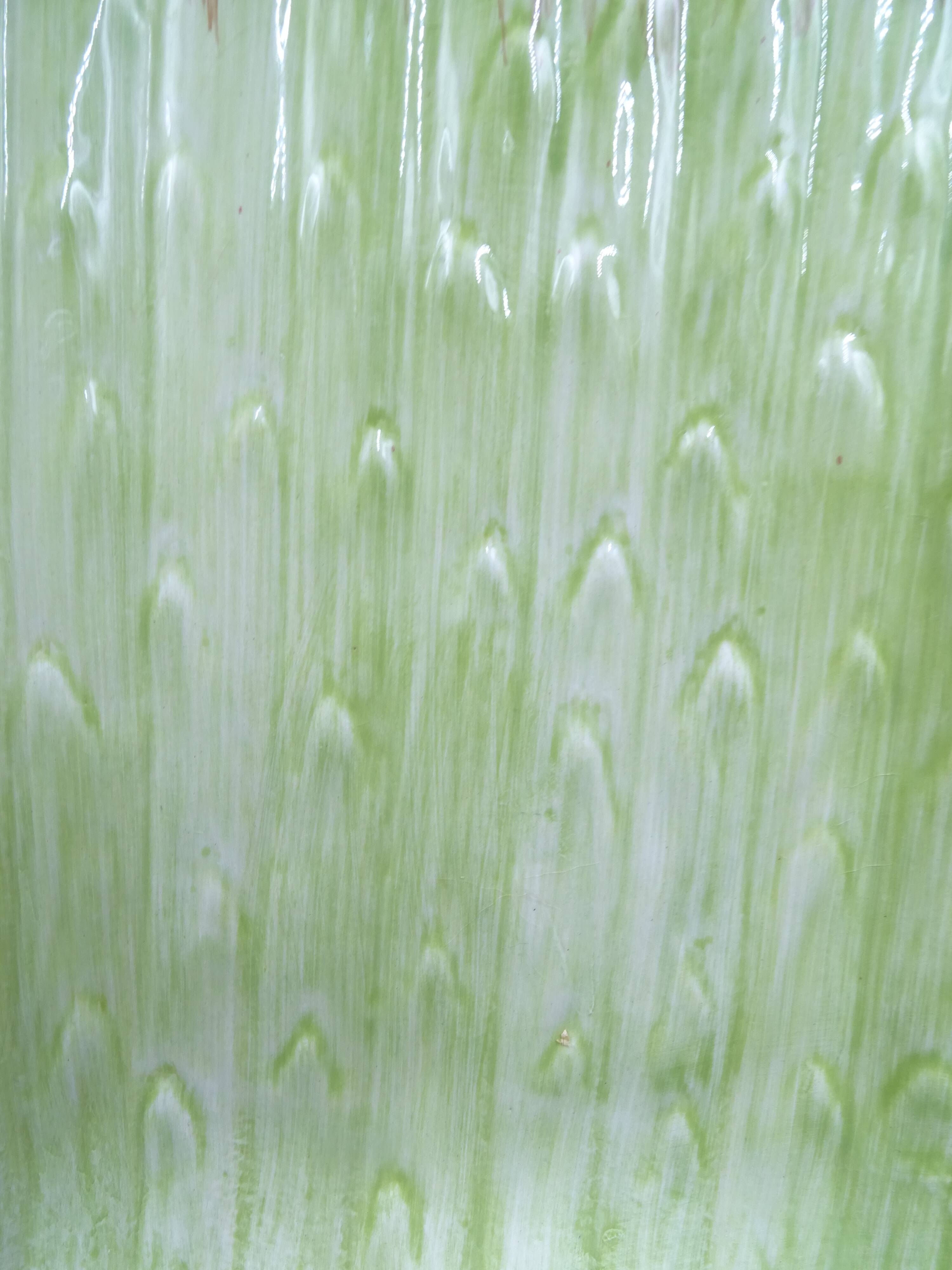 Asparagus dish in bubble